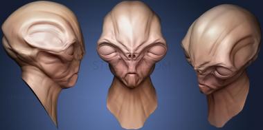 3D model Head Sculpt 10 (STL)